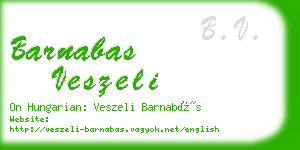 barnabas veszeli business card